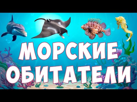 Видео: Морские животные для детей | Обитатели морей и океанов | развивающее видео для малышей