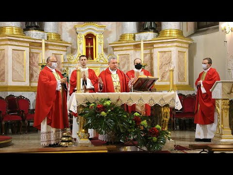 Видео: Імша ў інтэнцыі вяртання арцыбіскупа Тадэвуша Кандрусевіча на Радзіму