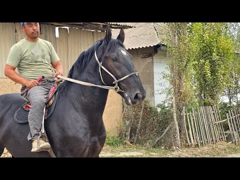 Видео: Мына Кунан Мына Тай✊️