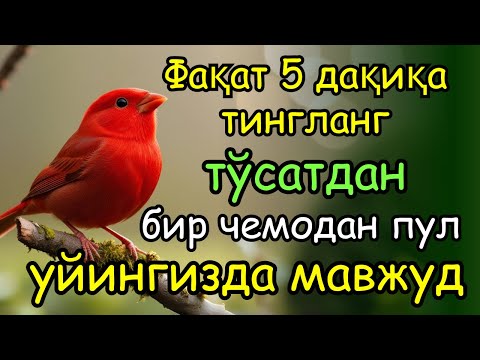 Видео: 🔴ИншоАллоҳ! Эндигина қўйганимда, Пул ростдан ҳам ўзи хонага келди ✅ Тез бойиш дуоси| Powerful Dua