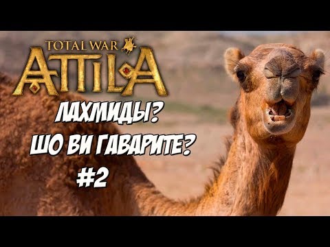 Видео: Кот спаси мою кампанию! Лахмиды. Кошерная стратегия.