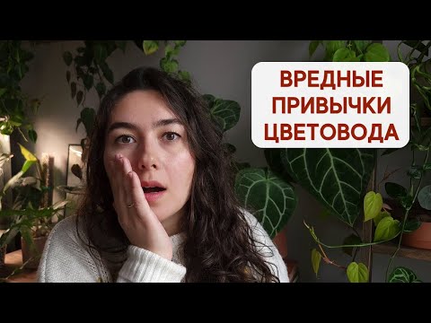 Видео: НЕидеальный уход за РАСТЕНИЯМИ / МОИ вредные ПРИВЫЧКИ в цветоводстве