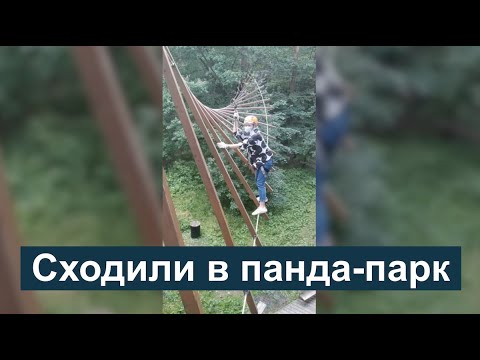 Видео: Сходили в панда-парк с Вэйи