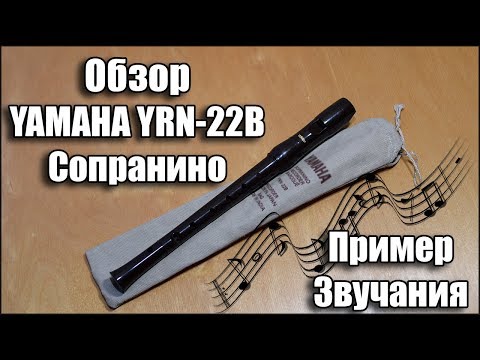 Видео: Обзор Yamaha YRN-22B in F Sopranino Recorder Сопранино Блокфлейта Ямаха строй Фа Пример звучания