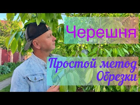 Видео: Весення обрезка Черешни.