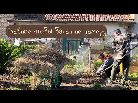 Видео: К нам гости, мы в гости. Чиним чайник, утепляем растения#жизньвсербии #синдикилайф#ремонтдома #рек