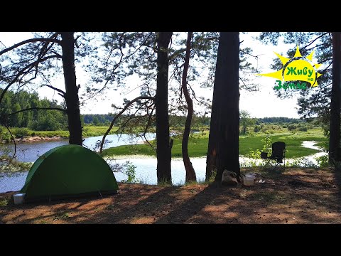 Видео: Рыбалка С Ночёвкой. Красивое Место на Лесной Реке.