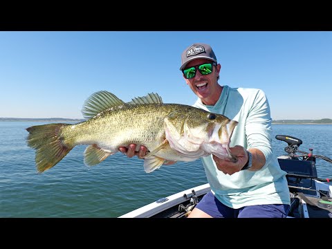 Видео: Рыбалка на моих самых старых медовых лунках | Открыты НОВАЯ тактика и наживка!