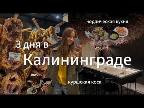 Видео: в КАЛИНИНГРАД на выходные 🥨🐟 стоит ли ехать, сколько стоит, что посмотреть