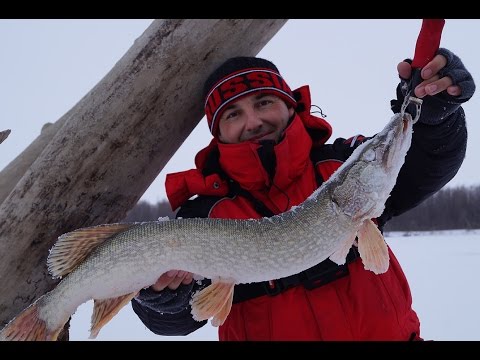 Видео: Ловля щуки на раттлины зимой | Рыбалка на щуку | Зимняя рыбалка