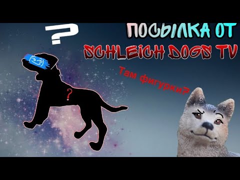 Видео: Посылка от Schleich dogs tv💞 что же там??🦖🖤)
