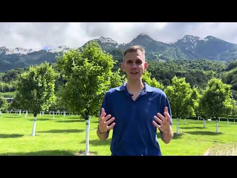 Видео: КАК СОБРАТЬ ВСЕ ВМЕСТЕ И УЛУЧШАТЬ РЕЗУЛЬТАТЫ В ПЛАВАНИИ и ТРИТЛОНЕ. Плавание для триатлона  Часть 4