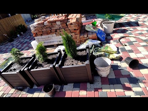 Видео: ПРОВОДИЛИ ГОСТЕЙ//