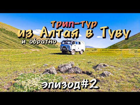 Видео: Трип-тур из Алтая в Туву и обратно/перевал Бугузун/эпизод #2