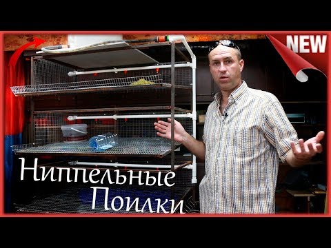 Видео: Подробный Монтаж и сборка ниппельных поилок для Кур и Перепелов. Как сделать ниппельную  поилку