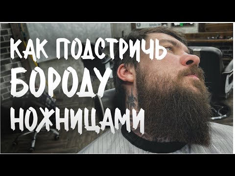 Видео: Как подстричь длинную бороду ножницами ровно? Петросян Акоп / academy LeveL A.P. / free hand