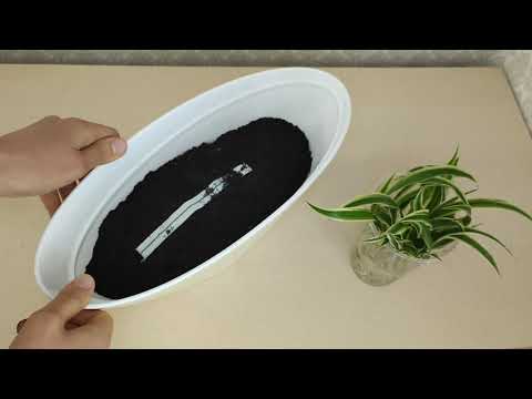 Видео: Хлорофитум Океан(Оушен, Ocean). Горшок с автополивом. Фитильный полив. Размножение хлорофитума