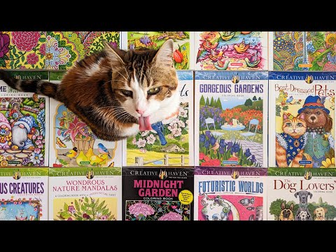 Видео: 9. Все мои раскраски. Creative Haven. Dover publications coloring book