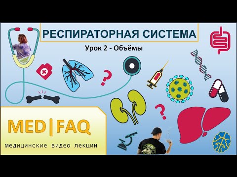Видео: Респираторная система - УРОК 2 - ОБЪЕМЫ