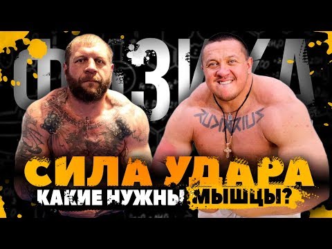 Видео: СИЛА МЫШЦ и СИЛА УДАРА / Кокляев бой с Емельяненко