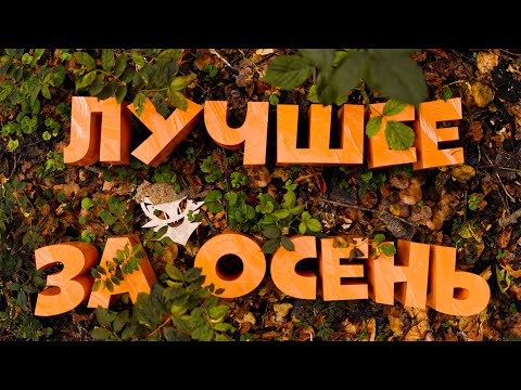 Видео: Приколы лучшее за ОСЕНЬ
