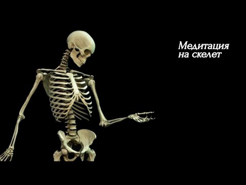 Видео: Медитация на скелет / Meditation on the skeleton