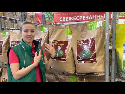 Видео: Большое поступление газонных трав в Гринвилль❗ Рассказываем о популярных видах газонов и новинках!