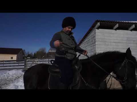 Видео: #Казачий стиль верховой езды 2