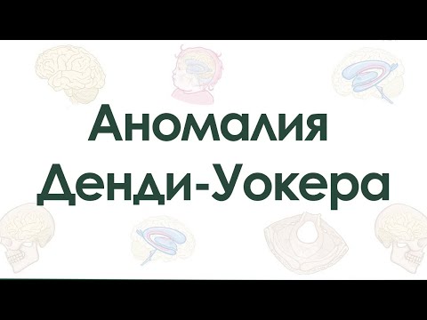 Видео: Аномалия Денди-Уокера