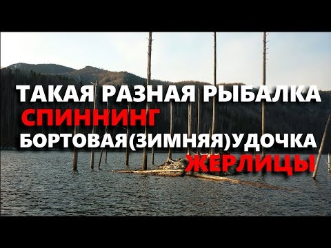 Видео: Реальная рыбалка на спиннинг, на бортовую (зимнюю) удочку, на живца на жерлицы!