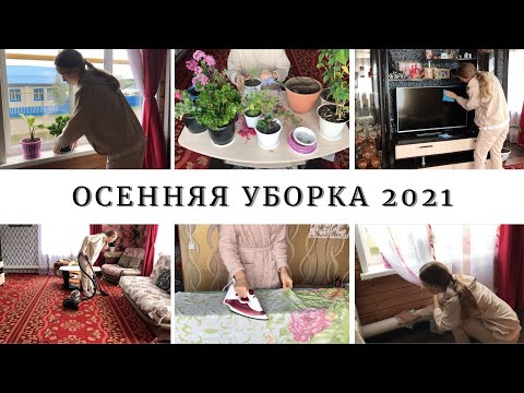 Видео: ОСЕННЯЯ УБОРКА 2021 | создаем уют и порядок вместе, приводим цветы в порядок | МОТИВАЦИЯ НА УБОРКУ