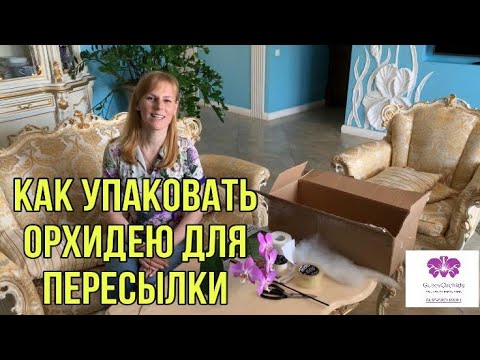 Видео: Как упаковать Орхидею для отправки почтой.