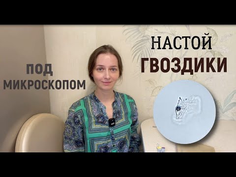 Видео: Настой гвоздики под микроскопом. Удивил !
