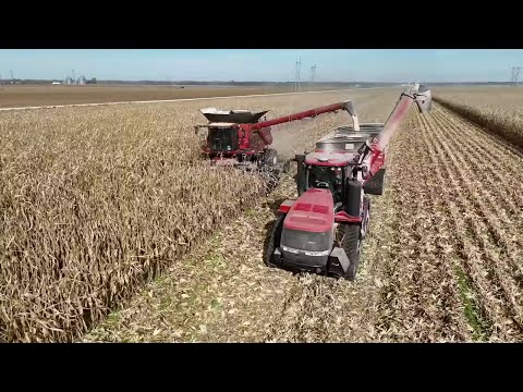 Видео: Завершение сбора урожая, начало ночной обработки почвы и экскурсия по истории фермы. Сезон 6, сер...