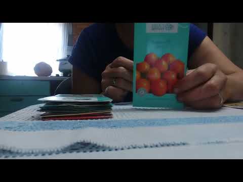 Видео: Семена томатов на 2026 год