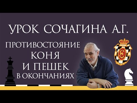 Видео: Видеоурок А.Г. Сочагина. Противостояние коня и пешек в окончаниях