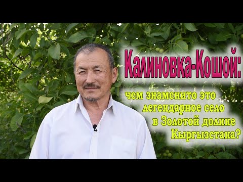Видео: Калиновка-Кошой: чем знаменито это село в Золотой долине?