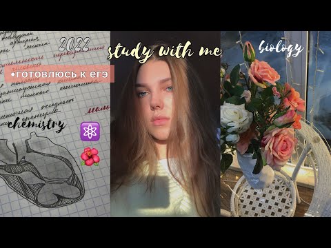 Видео: study with me|готовлюсь к егэ 2022|химия|биология|*пишу конспекты,ничего нового