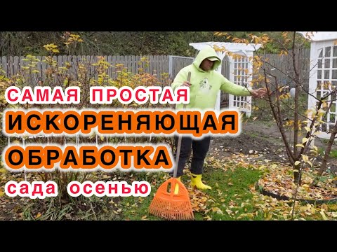 Видео: Самый простой уход за садом осенью и нет никаких проблем