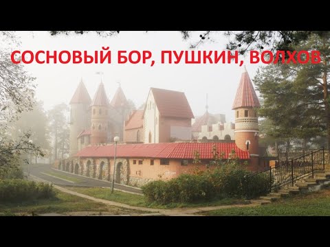 Видео: Пушкин, Сосновый Бор, Волхов - забеги (VLOG)