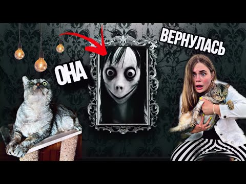 Видео: ВЫЗВАЛИ МОМО В РЕАЛЬНОЙ ЖИЗНИ С КОТАМИ | ОНА В НАШЕМ ДОМЕ | КОШАЧЬЯ ИСТОРИЯ УЖАСОВ