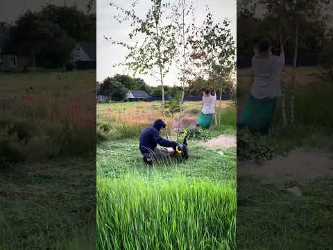Видео: Таких заміж не беруть