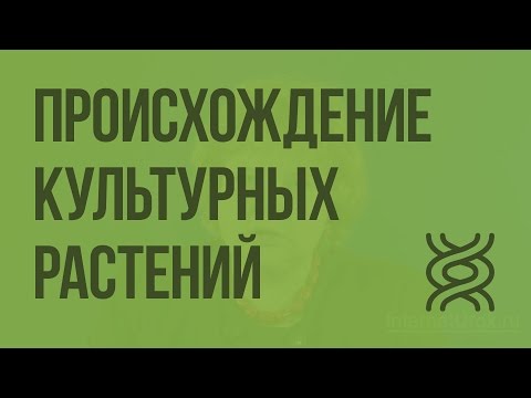 Видео: Центры происхождения культурных растений. Видеоурок по биологии 9 класс