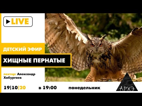 Видео: Детский эфир "Хищные пернатые" в рамках рубрики "Путешествия с натуралистом"