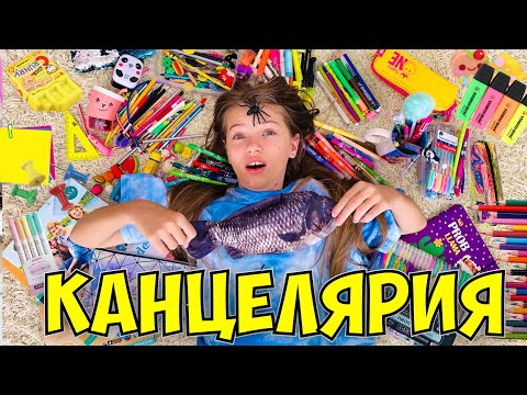 Видео: РАЗБИРАЮ КАНЦЕЛЯРИЮ открываю СЕКРЕТЫ / Старая vs НОВАЯ канцелярия / НАША МАША