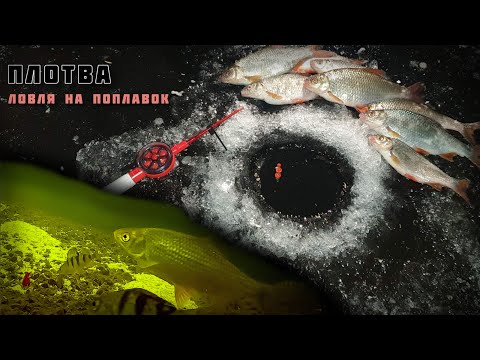 Видео: Ловля Плотвы на Поплавок с Домашней Прикормкой + Подводная Съемка, Зимняя Рыбалка в Тольятти