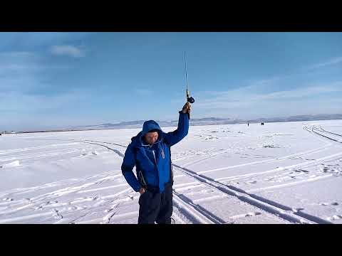 Видео: ОТЛИЧНОЕ РЫБНОЕ МЕСТО. Обзор снасти БАЛДА. Ловля ОКУНЯ Зимой. местность МУРТОЙ