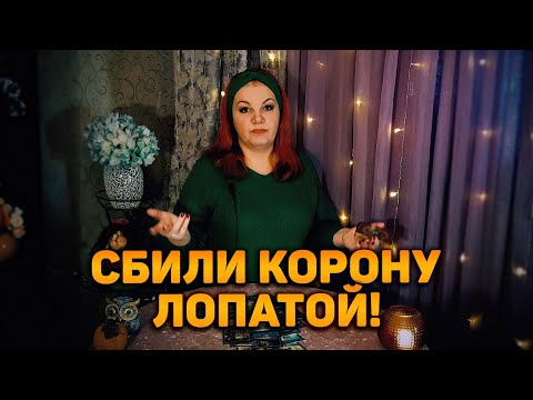 Видео: Досадное недоразумение! С него сбили корону лопатой!