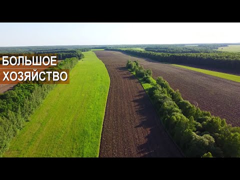 Видео: Вспашка перед севом озимой пшеницы. СПК Стрелецкий.