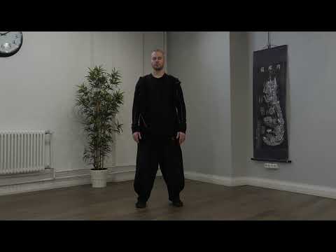 Видео: Медитация покоя с наблюдением внешнего и внутреннего пространства.